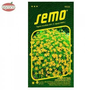 Aksamietnica drobnokvetá SM žltá 0,2g