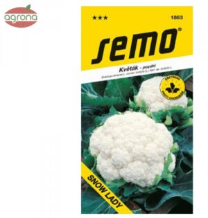 Karfiol letný a jesenný SM Snow Lady 50sem.