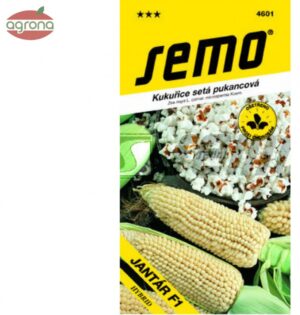 Kukurica pukancová SM Jantár 6g