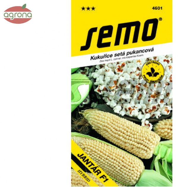 Kukurica pukancová SM Jantár 6g