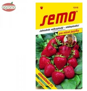 Jahody veľkoplodé SM Grandian F1 MLSNÉ JAZÝČKY 12sem.