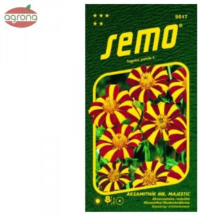 Aksamietnica rozložitá SM Mr.Majestic 50 sem.