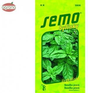 Bazalka SM Dark Green - zelená 1g