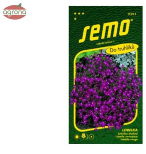 Lobelka previslá SM Cascade červená