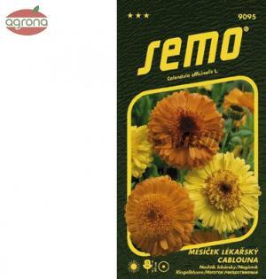 Nechtík lekársky SM Cablouna zmes