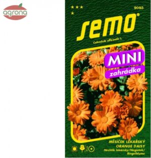 Nechtík lekársky SM Orange Daisy MINI 0,6g