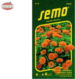 Nechtík lekársky SM Orange King