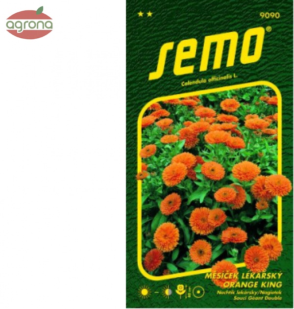 Nechtík lekársky SM Orange King