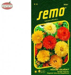 Nechtík lekársky SM Pacific beauty zmes