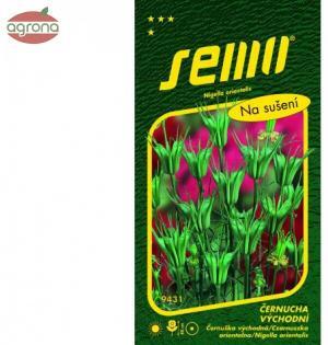 Černuška východná SM Transformer 1g