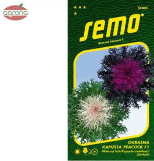 Kel okrasný SM Peacock mix 20sem.