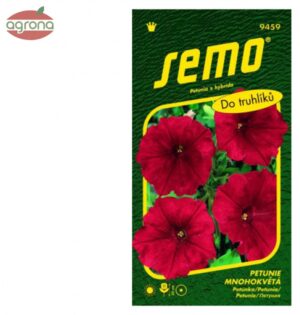 Petúnia hybridná SM Láska F1  50s.