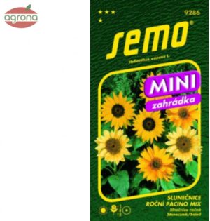 Slnečnica ročná SM Pacino Mix MINI 15sem.