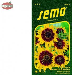 Rudbeckia srstnatá SM Gloria Daisy 0,5g