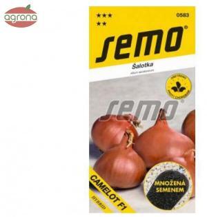 Cibuľa červená SM Camelot F1 - šalotka 50 sem.