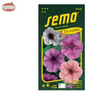 Petúnia hybridná SM Zmes s orchid hviezdou