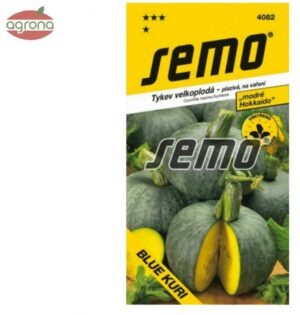 Tekvica SM Blue Kuri - typ ,,Hokkaido" 7sem.