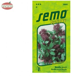 Bazalka SM Siam Queen - balkónová, kompaktná 0,3g