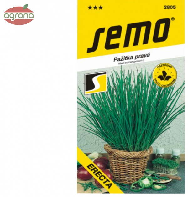 Pažítka SM Erecta 2g