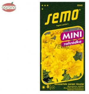 Aksamietnica rozložitá SM Safari Yellow MINI - nízka, žltá 30 sem.