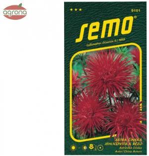 Astra ihlicovitá SM červená Elektric 0,5g