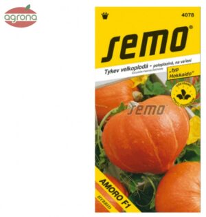 Tekvica SM Amoro F1 - typ "Hokkaido" 5sem.