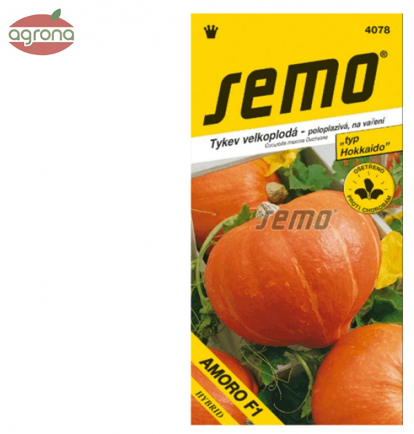 Tekvica SM Amoro F1 - typ "Hokkaido" 5sem.