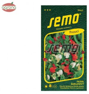 Fazuľa šarlátová SM - okrasná, popínavá 9sem.