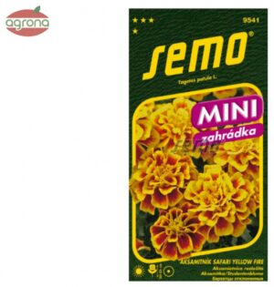 Aksamietnica rozložitá SM Safari Yellow Fire MINI nízka, žltočervená 30 sem.