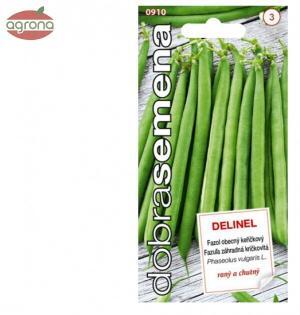 Fazuľa kríčková zelená DS Delinel, 10 g