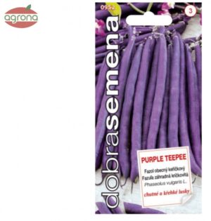 Fazuľa kríčková fialová DS Purple Teepee, 10 g
