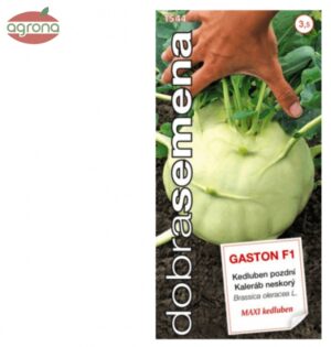 Kaleráb biely neskorý DS Gaston F1 MAXI, 40sem.