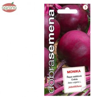 Repa šalátová guľatá DS Monika -  jednoklíčková, 1,5 g