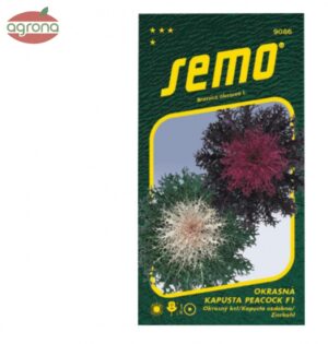 Kel okrasný SM Peacock mix 20sem.