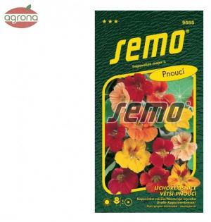 Kapucínka ťahavá SM Grande 2g