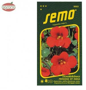 Kapucínka SM Princess of India 2g