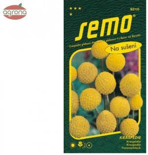 Kraspédia SM Billy Buttons 0,1g