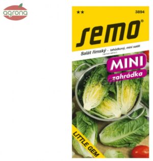 Šalát rímsky SM Little Gem - MINI 0,6g