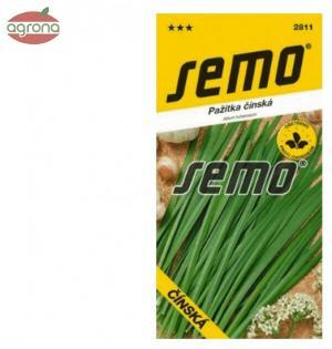 Pažítka SM Čínska cesnako-pažítka 2g