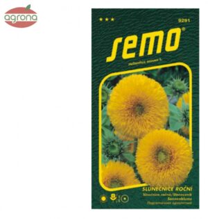 Slnečnica ročná SM Teddy Bear 1g