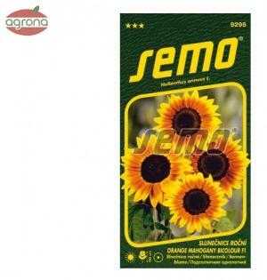 Slnečnica ročná SM Orange Mahogany 8sem.