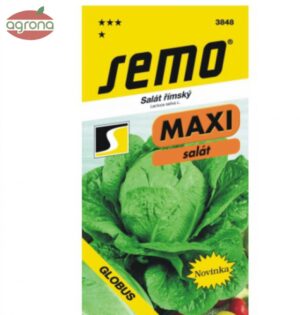 Šalat rímsky SM Globus - letný MAXI  0,7g