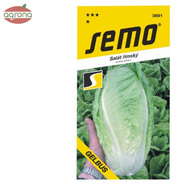 Šalát rímsky SM Gelbus - poľný 0,7g