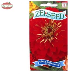 Cínia dáliokvetá ZS tmavo červená  0,80 g