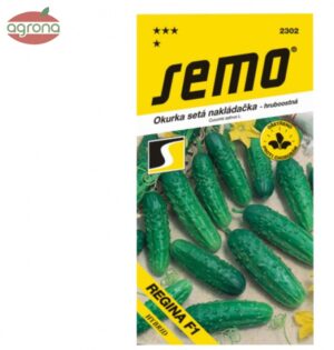 Uhorka nakladačka SM Regina F1 2g