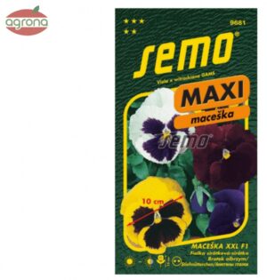 Viola veľkokvetá SM XXL F1 MAXI, 15sem.