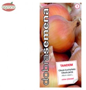 Cibuľa jarná DS Tandem 2g