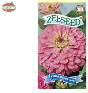 Cínia dáliokvetá ZS ružová  0,80 g