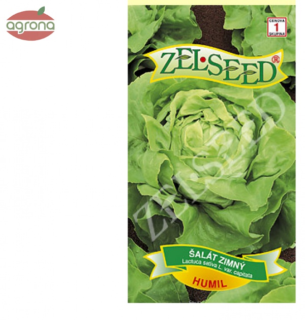 Šalát zimný ZS Humil 0,7g