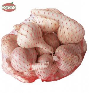 Cesnak jeseň sadbový Matúš 500g, paličiak